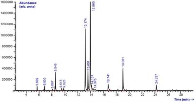 In vitro and in vivo anthelmintic efficacy of peppermint (Mentha x piperita L.) essential oil against gastrointestinal nematodes of sheep